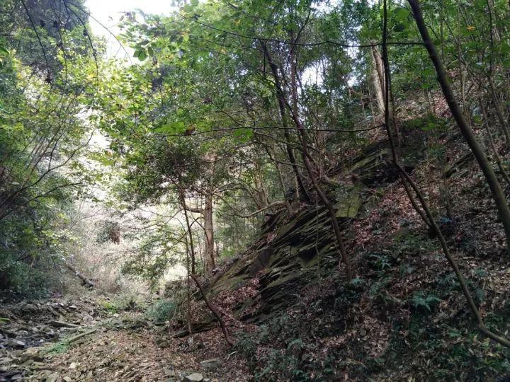 40个学生中 如果男生人数为奇数 则女生人数为偶数是对的吗?-专业有问必答平台