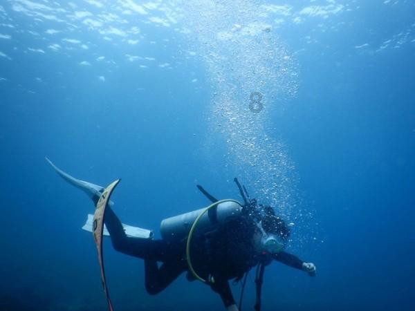 探索小米cc9e好用不?,知识星球平台等你来参与