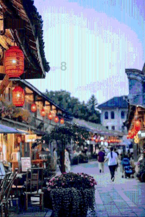 春雨直播app